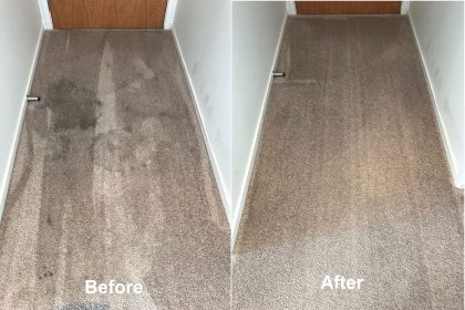 Auckland Professional Carpet Cleaning
