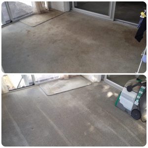 Orewa carpet cleaner